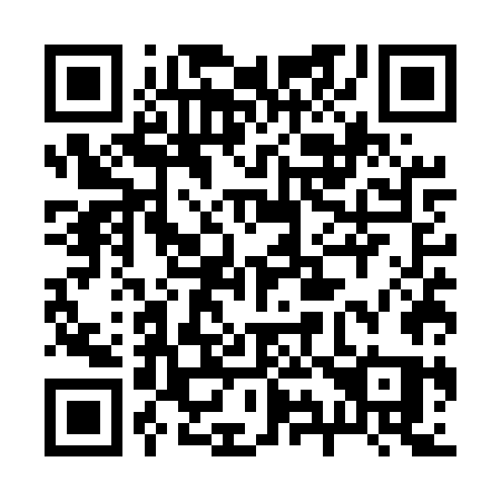 QR code for plate 295-UWQ