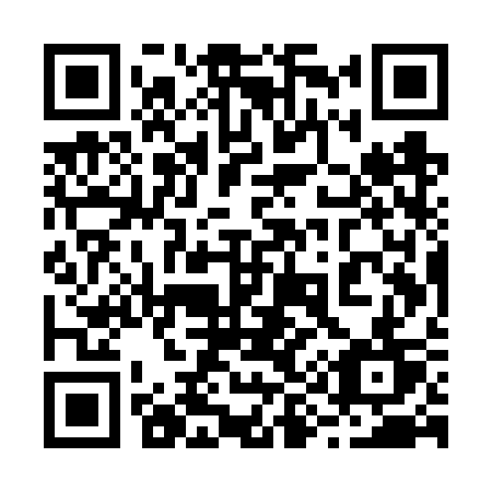 QR code for plate 295-VST