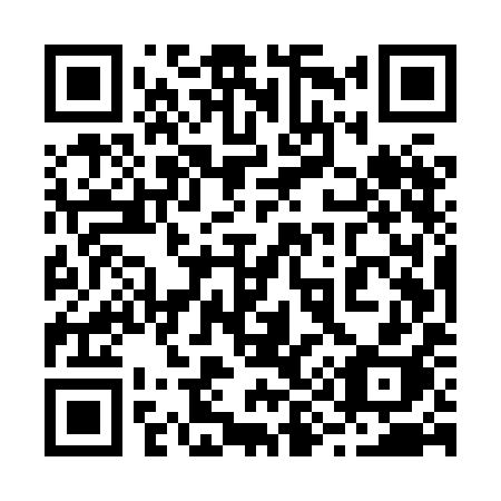 QR code for 295XIH