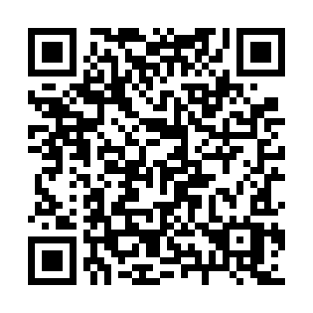 QR code for plate 298-VIW