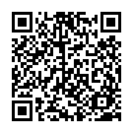 QR code for 299DTO