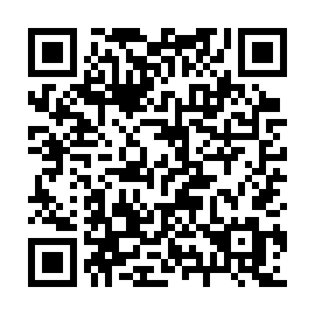 QR code for 299STM