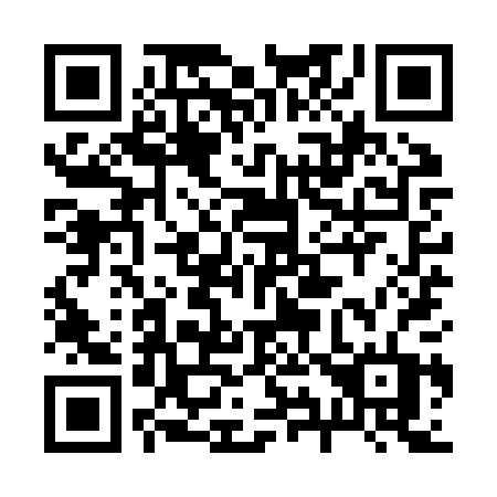 QR code for plate 299-ZPT