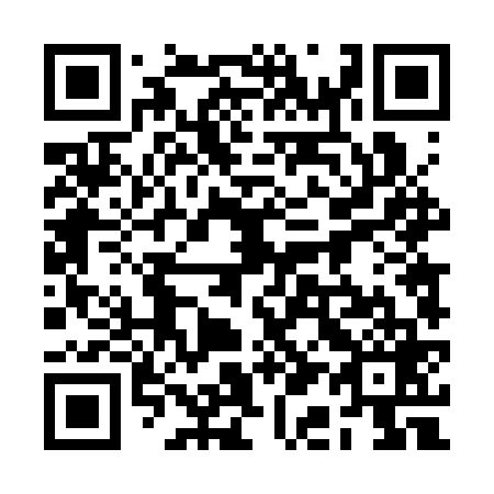 QR code for plate 2A4-3V9