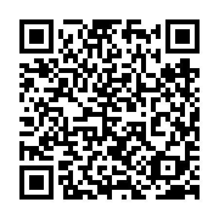 QR code for plate 2A5-6Y9