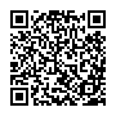 QR code for plate 2A8-4H2