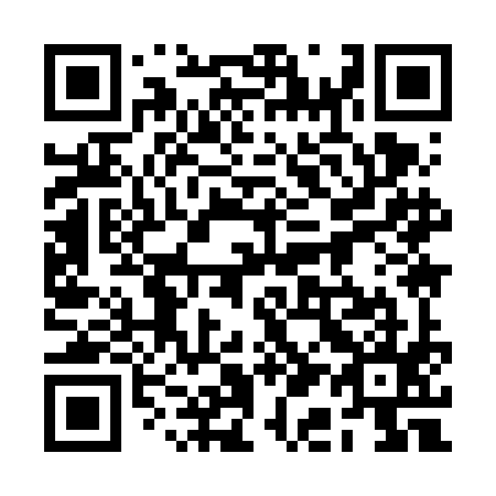 QR code for plate 2A9-6I5
