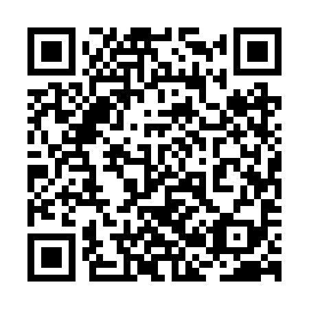 QR code for plate 2B5-2Y9