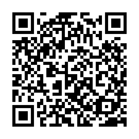 QR code for plate 2B9-8H9