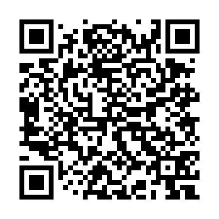 QR code for plate 2C0-4G1