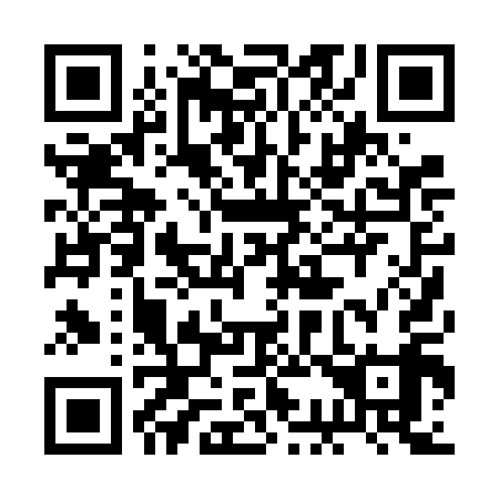 QR code for plate 2C0-6A9