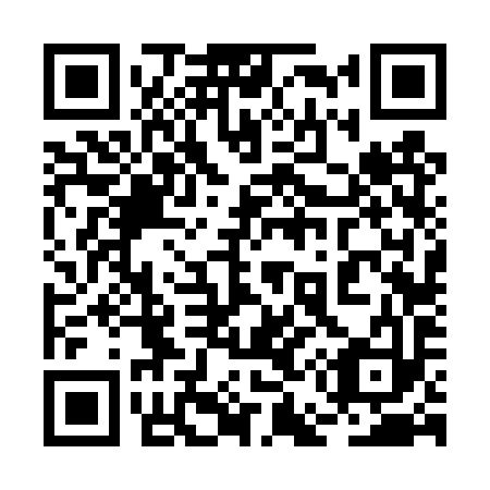 QR code for plate 2E6-4Y3