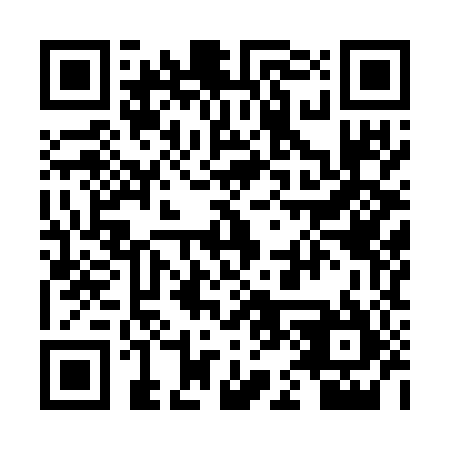 QR code for plate 2E9-7X5