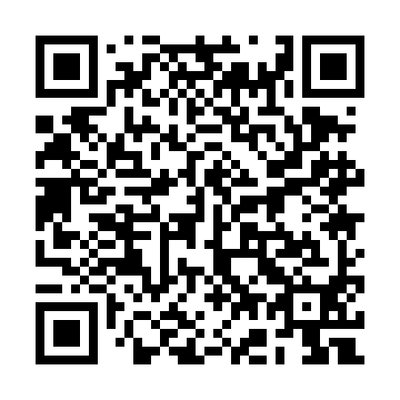 QR code for plate 2G1-4I0