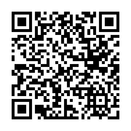 QR code for plate 2G1-9P5