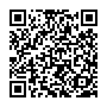 QR code for plate 2G4-4V9