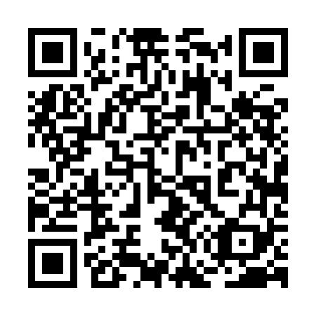 QR code for plate 2G4-9F9