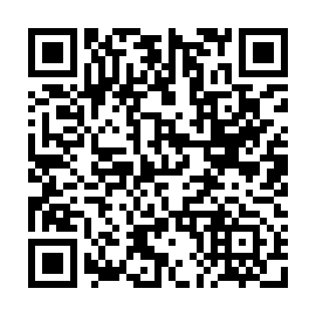 QR code for plate 2H9-9U3