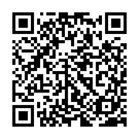 QR code for plate 2I3-9V1