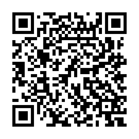 QR code for plate 2I5-9B2