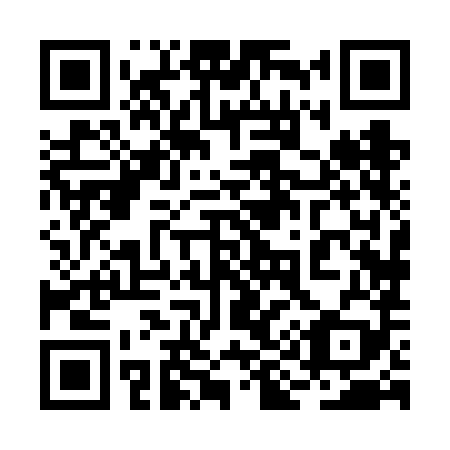 QR code for plate 2I8-6H9