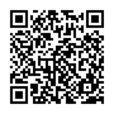 QR code for plate 2I9-1B6