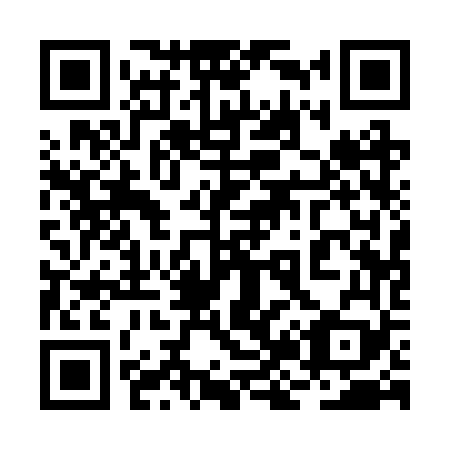 QR code for plate 2J1-2V9