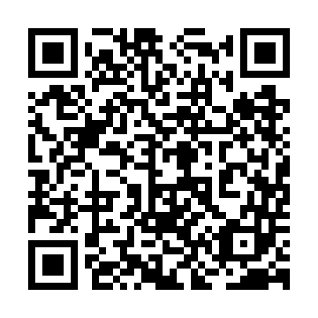 QR code for 2N17D3