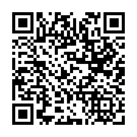 QR code for 2N9-3O3
