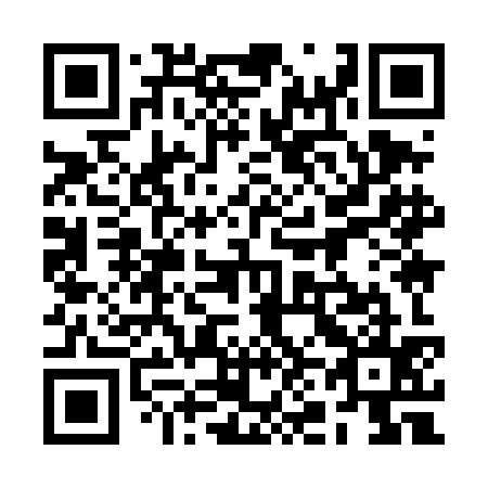 QR code for plate 2N9-4K5