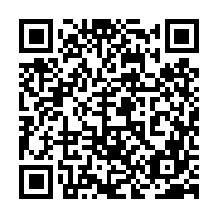QR code for plate 2N9-4V6