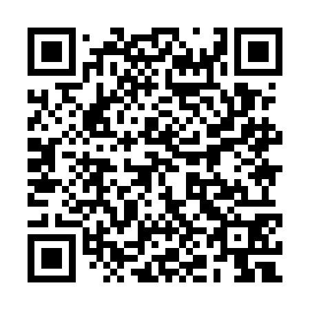 QR code for plate 2N9-5O0