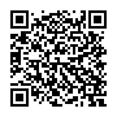 QR code for plate 2P1-5T3