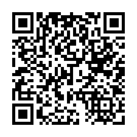 QR code for plate 2P3-3Z1