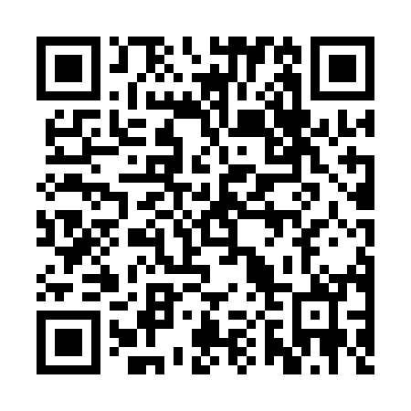 QR code for 2P41M0