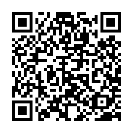 QR code for plate 2P4-4X9