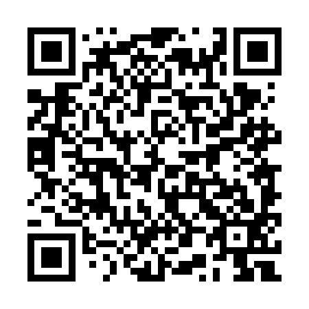 QR code for plate 2P4-6I3