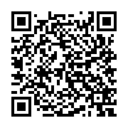 QR code for plate 2R5-9R9