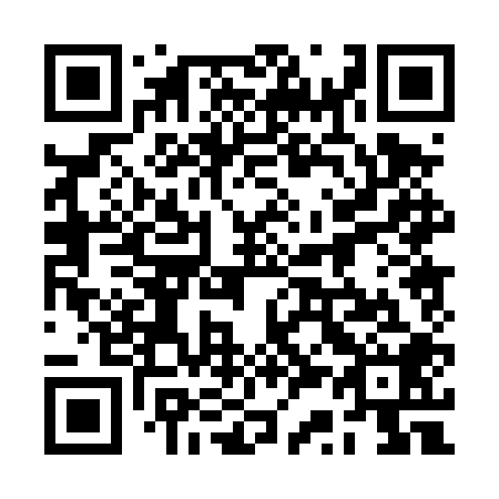 QR code for plate 2S0-4P8