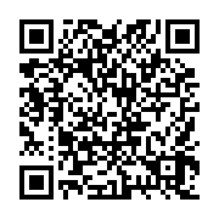 QR code for plate 2S8-2D8