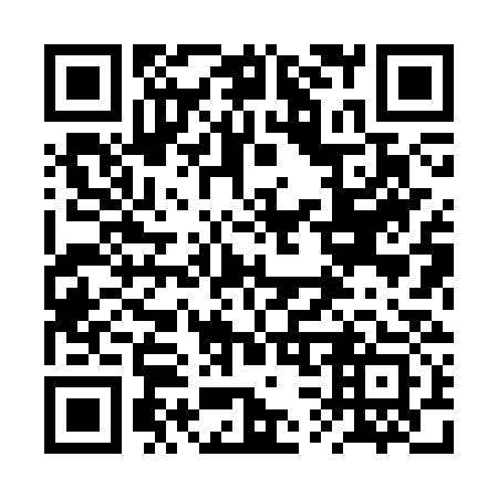 QR code for plate 2S8-3S3