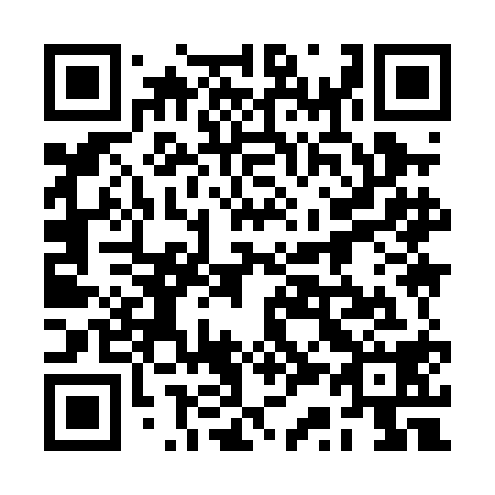 QR code for plate 2S9-0A8