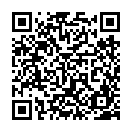 QR code for plate 2S9-6Z6