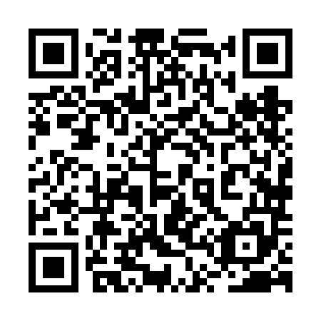 QR code for plate 2T8-6M5