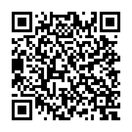 QR code for plate 2V0-0Z6