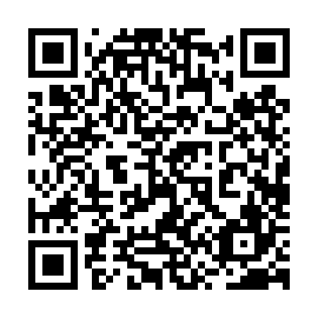 QR code for plate 2V0-4Z6