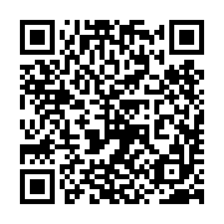 QR code for plate 2V2-4I2