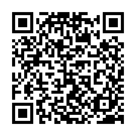 QR code for plate 2V3-1Z3