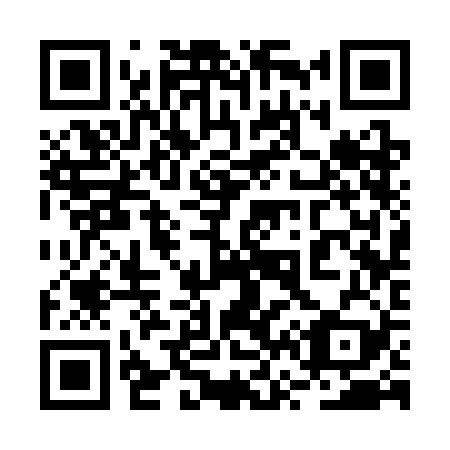 QR code for plate 2V3-3B9