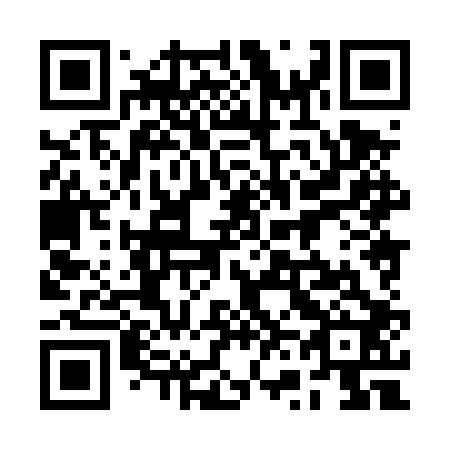 QR code for plate 2V8-4P2